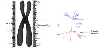 The Necessity of Diploid Genome Sequencing to Unravel the Genetic Component of Complex Phenotypes